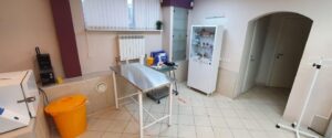 Ветеринарная клиника Здоровые лапки на Богатырском проспекте Сеть