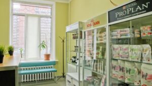 Ветеринарная клиника Felis на проспекте Ударников Сеть
