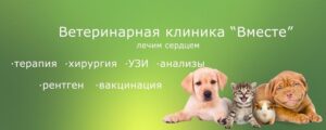 Ветеринарная клиника Вместе