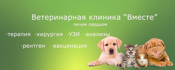 Фото компании Ветеринарная клиника Вместе