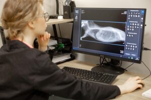 Ветеринарный госпиталь Прайд на проспекте Луначарского Сеть