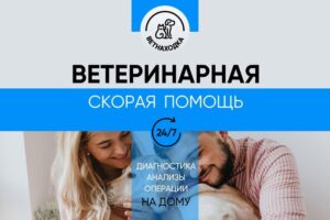Ветеринарная служба Ветнаходка на Большом проспекте Петроградской стороны Сеть