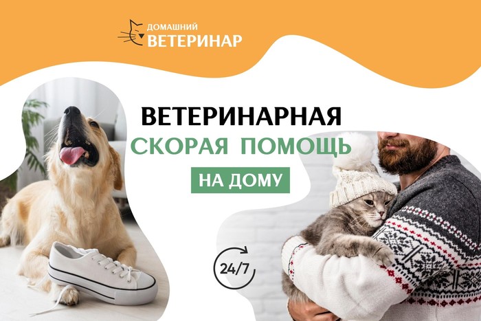 Фото компании Ветеринарная служба Домашний ветеринар на улице Меркурьева Сеть
