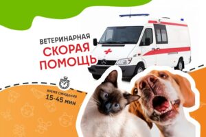 Ветеринарная служба ВетСкорая24 на Софийской улице Сеть