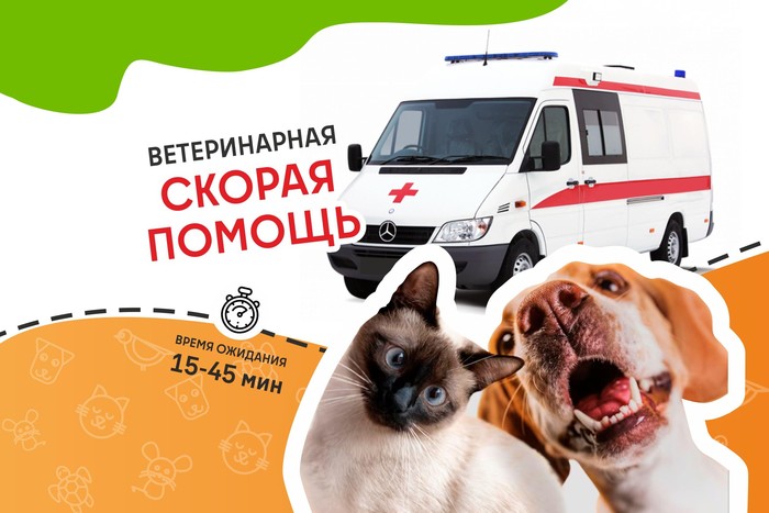 Фото компании Ветеринарная служба ВетСкорая24 на Среднегаванском проспекте Сеть