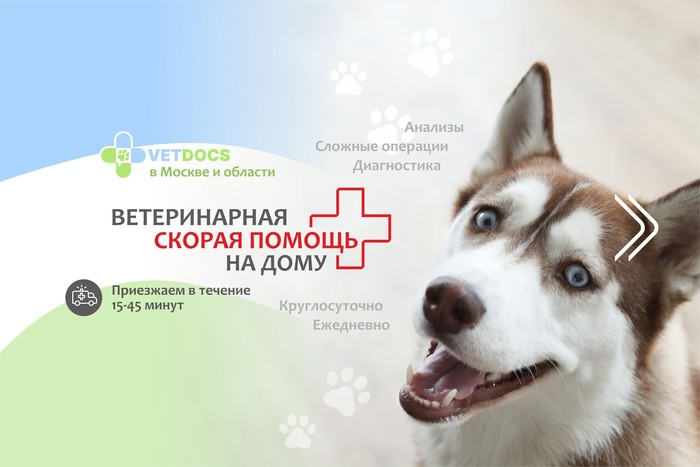Фото компании Ветеринарная клиника Vetdocs в БЦ Атолл Сеть