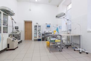 Ветеринарная клиника Доктор Айболит на Рассветной улице Сеть
