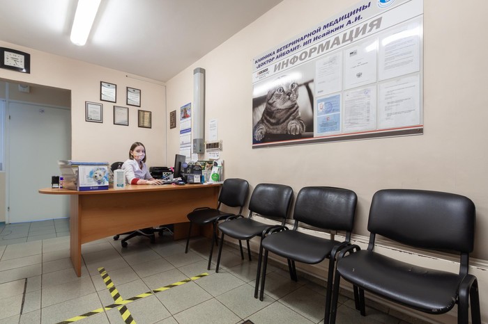 Фото компании Ветеринарная клиника Доктор Айболит на Родонитовой улице Сеть