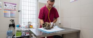 Ветеринарная клиника Арника