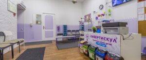 Центр развития ребенка Либерти Скул