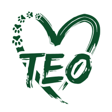 Фото компании Тео