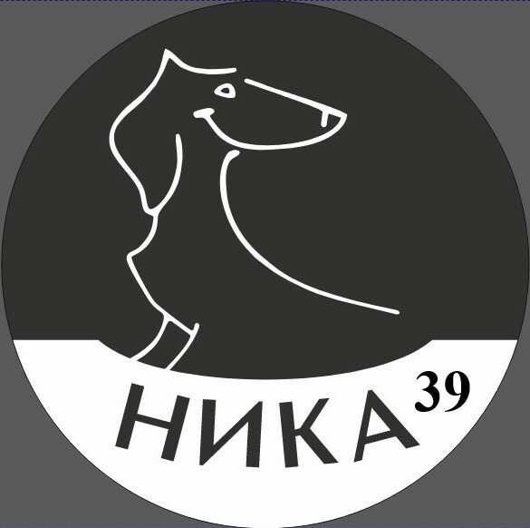 Фото компании Ника39